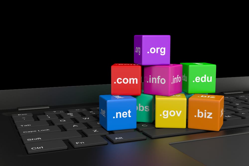 Domain Web